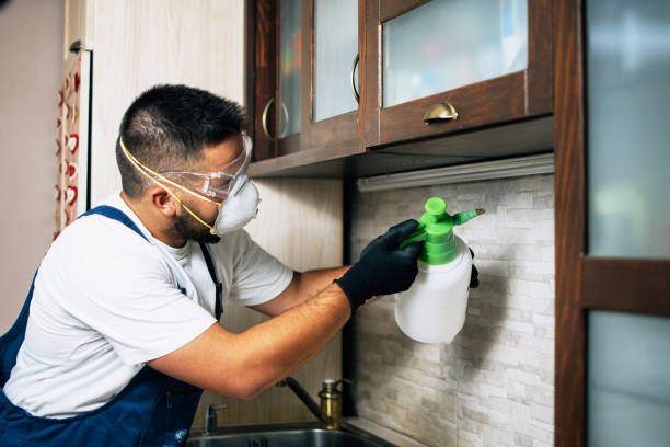 Best Affordable Pest Control Services  in Clear Lake, WI