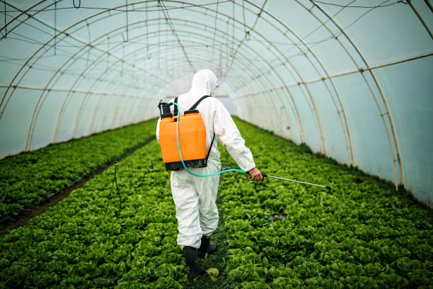 Best Best Pest Control Companies  in Clear Lake, WI