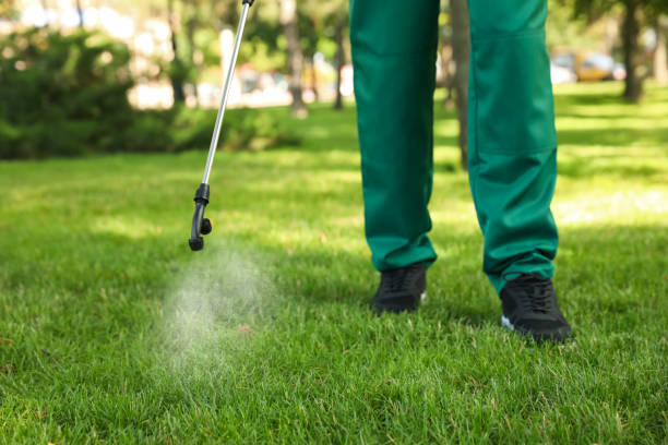 Best Bird Control  in Clear Lake, WI