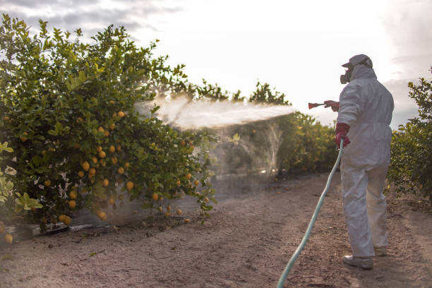  Clear Lake, WI Pest Control Pros