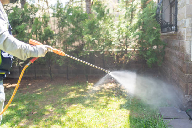 Best Insect Control  in Clear Lake, WI