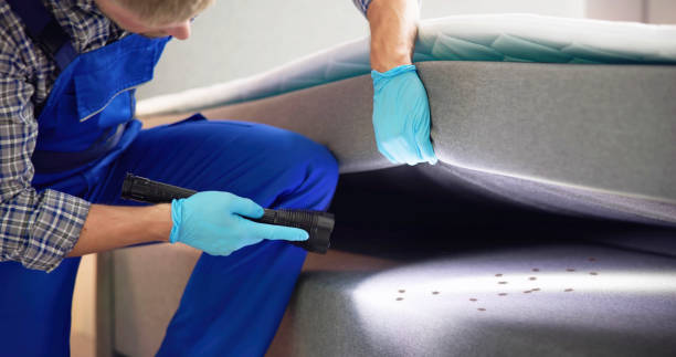 Best Pest Control Near Me  in Clear Lake, WI