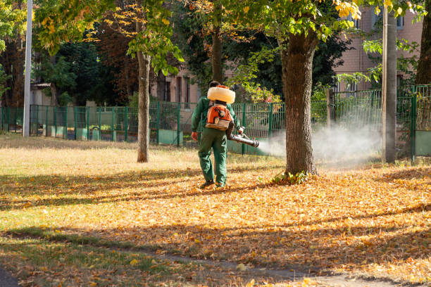 Professional Pest Control in Clear Lake, WI