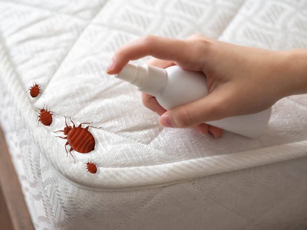 Best Best Pest Control Companies  in Clear Lake, WI