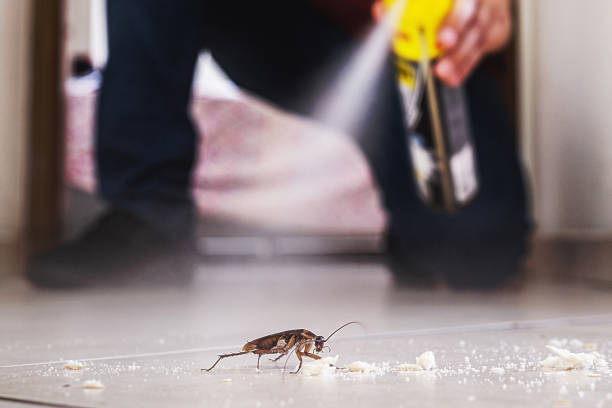 Best Commercial Pest Control Services  in Clear Lake, WI