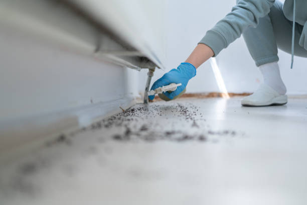 Best Pest Inspection Near Me  in Clear Lake, WI