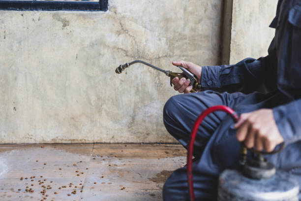 Best Pest Control for Homes  in Clear Lake, WI